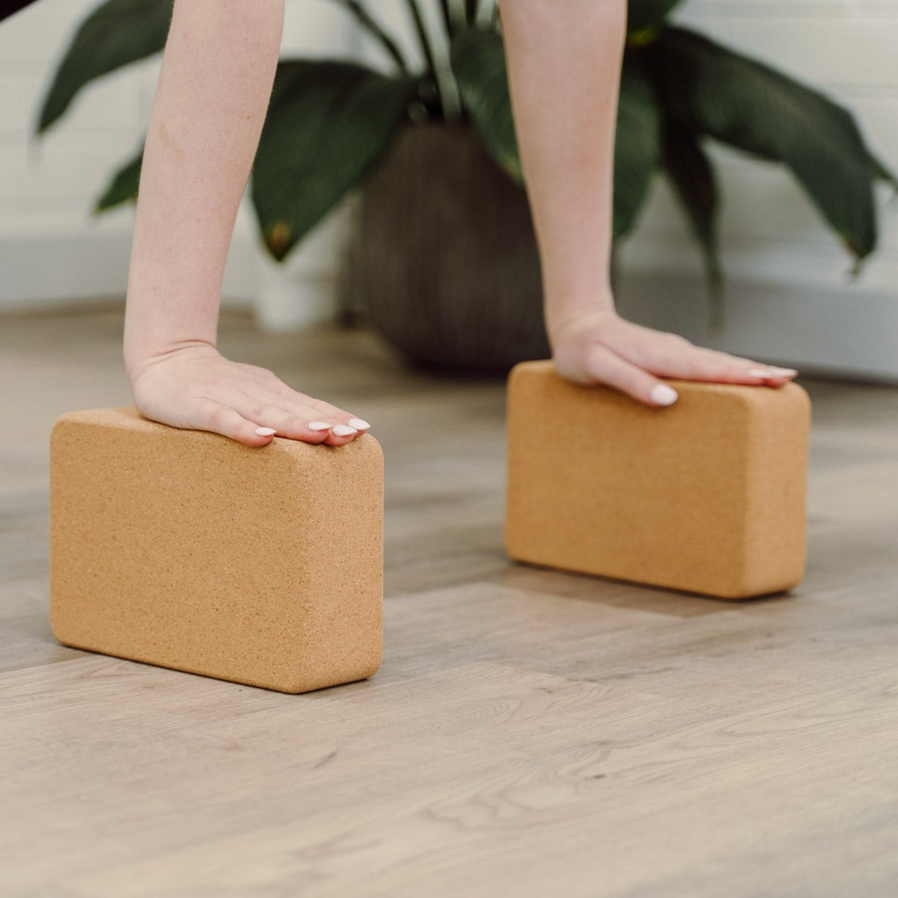 Cork Yoga Block -  Twin Pack